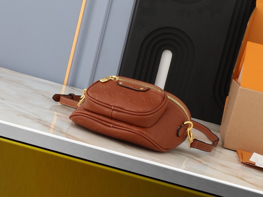 Anum Bags LVn Luxury Bag --79812