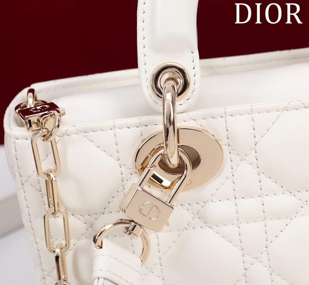 Anum Bags Diorn Luxury Bag --114770