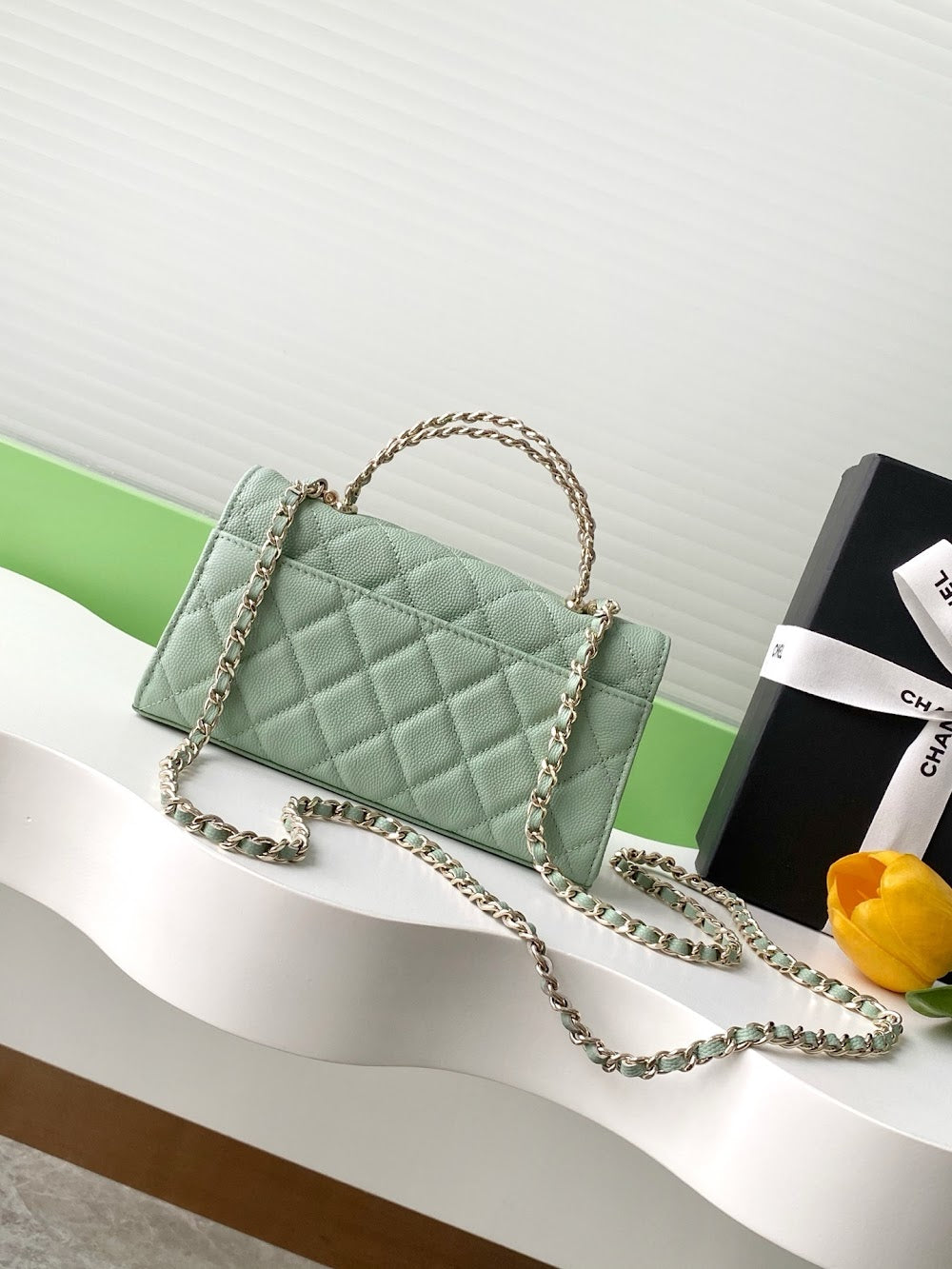 new-luxury-designer-bags-nm20296