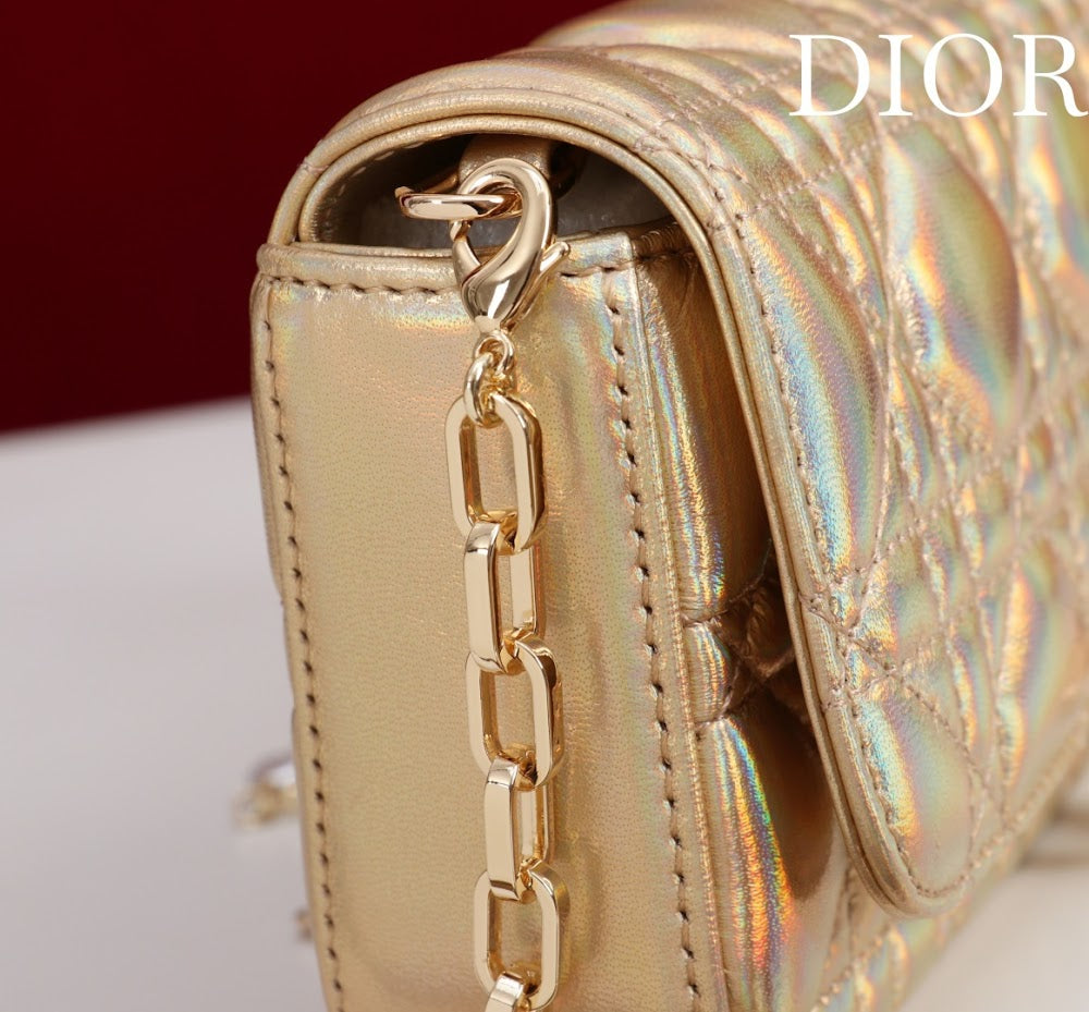 Ezyycart Bags Diorn Luxury Bag --116340
