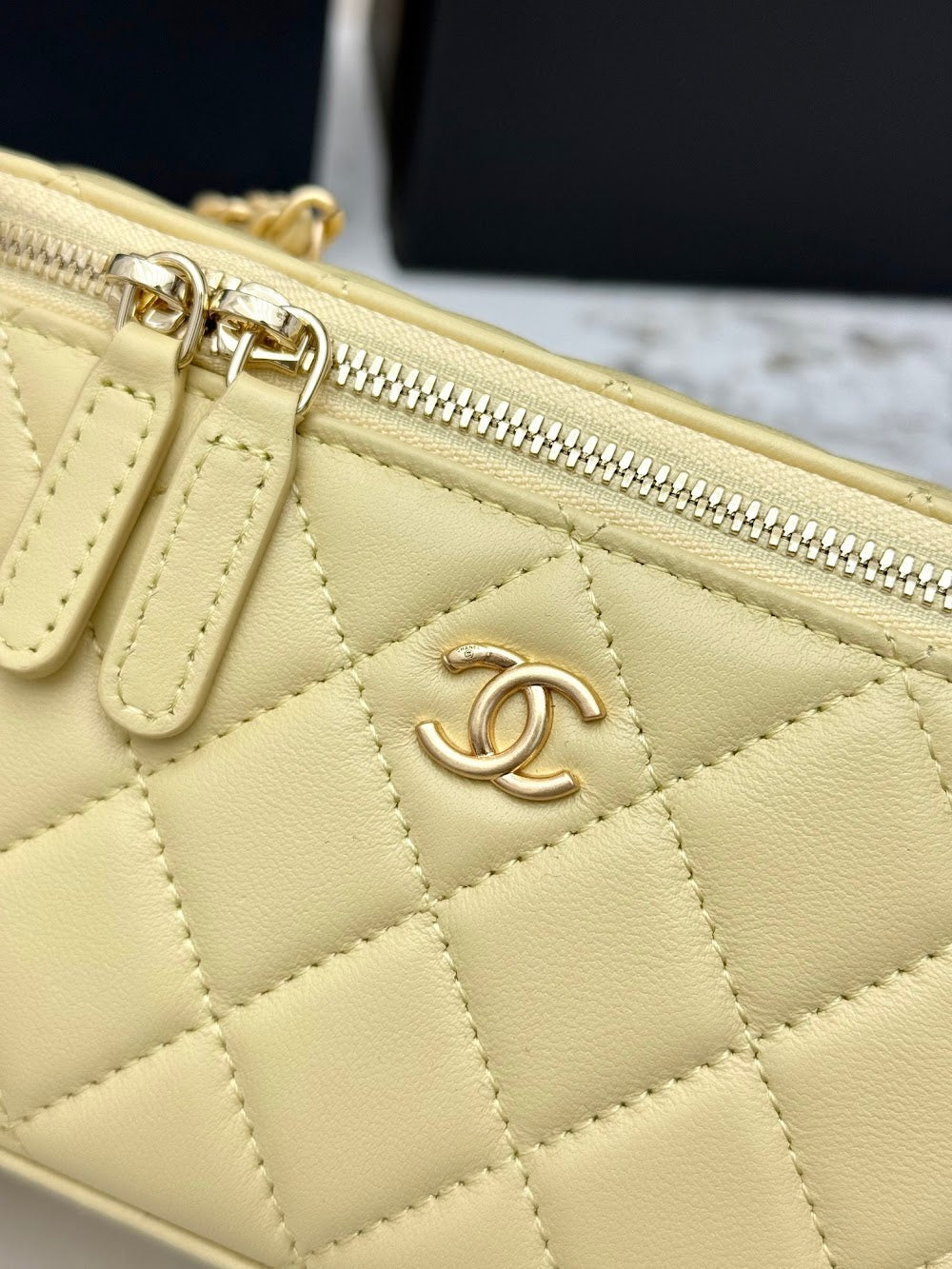 Anum Bags CHn Luxury Bag --113767