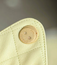 new-designer-premium-bags-nm6213