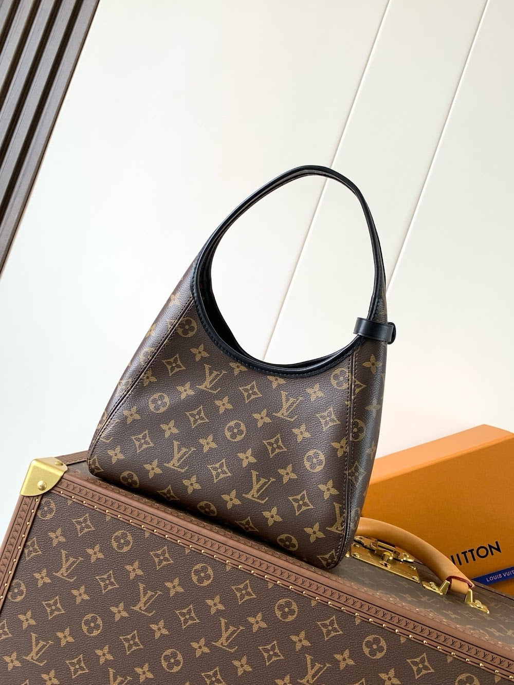 Anum Bags LVn Luxury Bag --81084