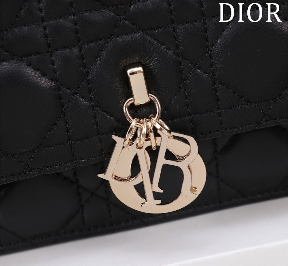 Ezyycart Bags Diorn Luxury Bag --116305