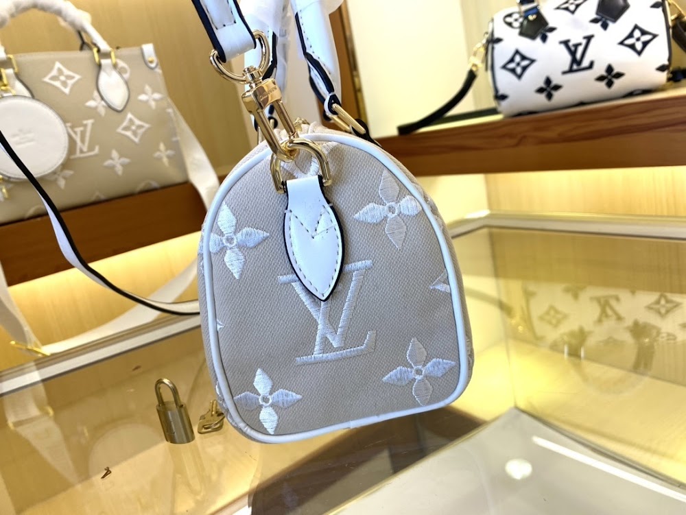 Anum Bags LVn Luxury Bag --80968