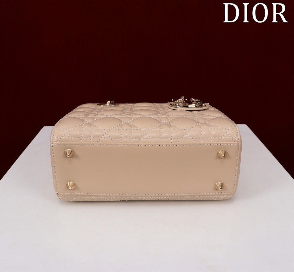 Ezyycart Bags Diorn Luxury Bag --115932