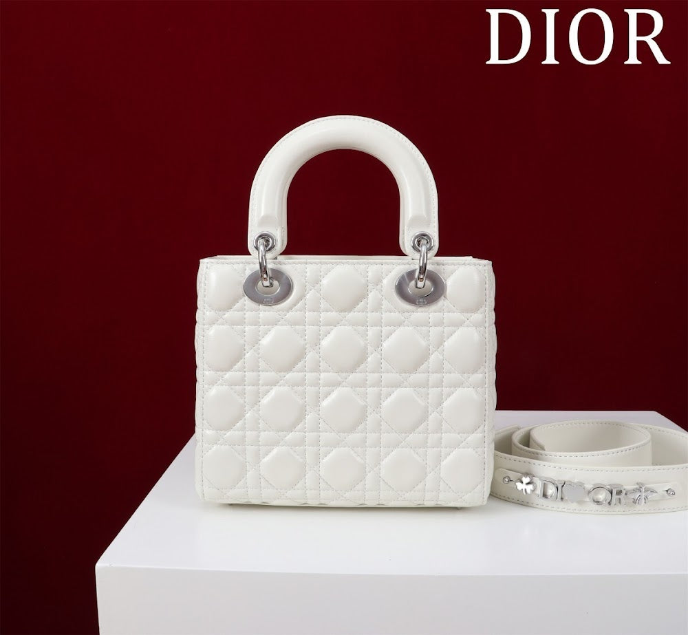 Ezyycart Bags Diorn Luxury Bag --115935
