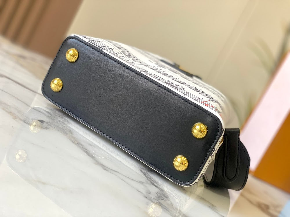 Anum Bags LVn Luxury Bag --80824