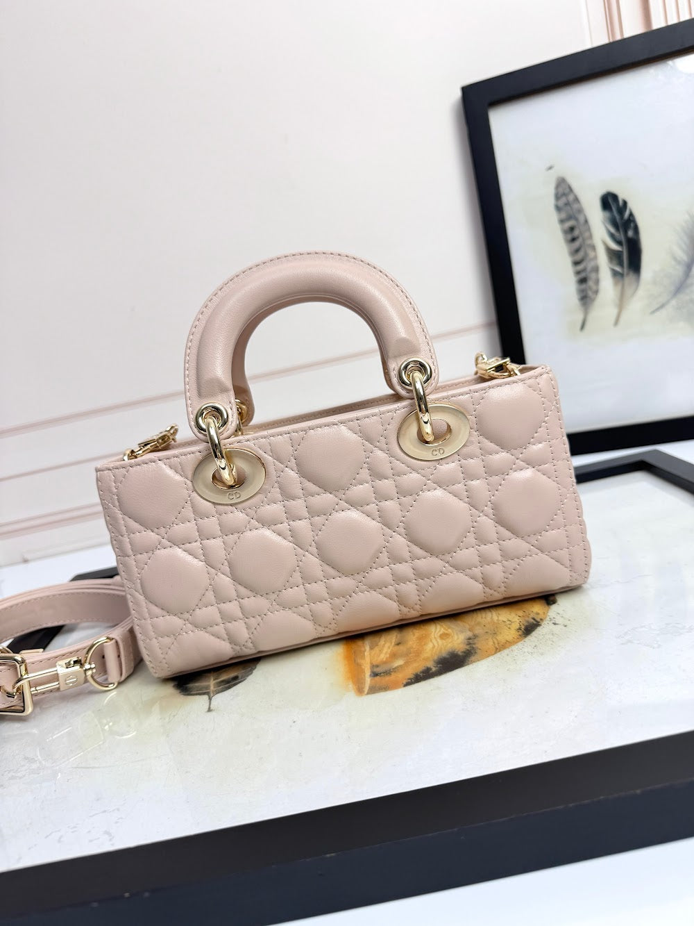 Anum Bags Diorn Luxury Bag --114954