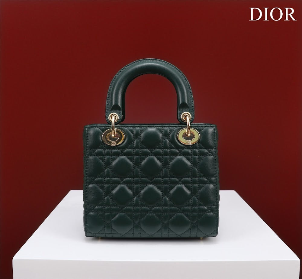 Ezyycart Bags Diorn Luxury Bag --115924