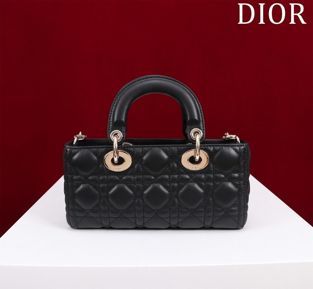 Anum Bags Diorn Luxury Bag --114714
