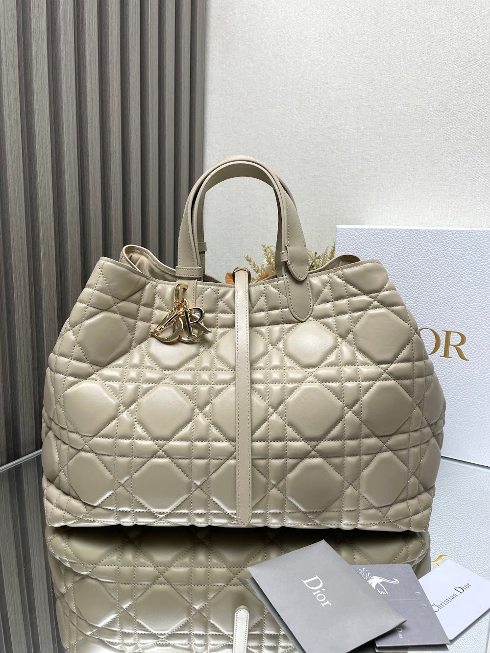 Ezyycart Bags Diorn Luxury Bag --116411