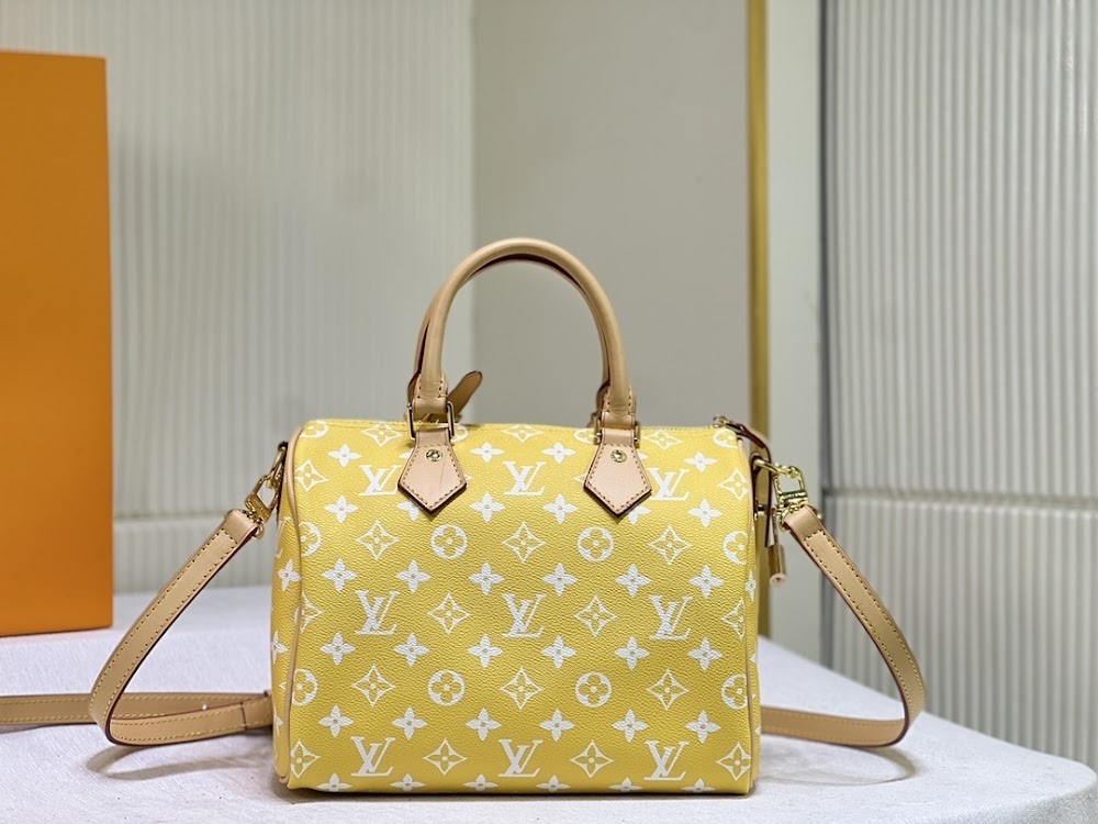 Anum Bags LVn Luxury Bag --80051