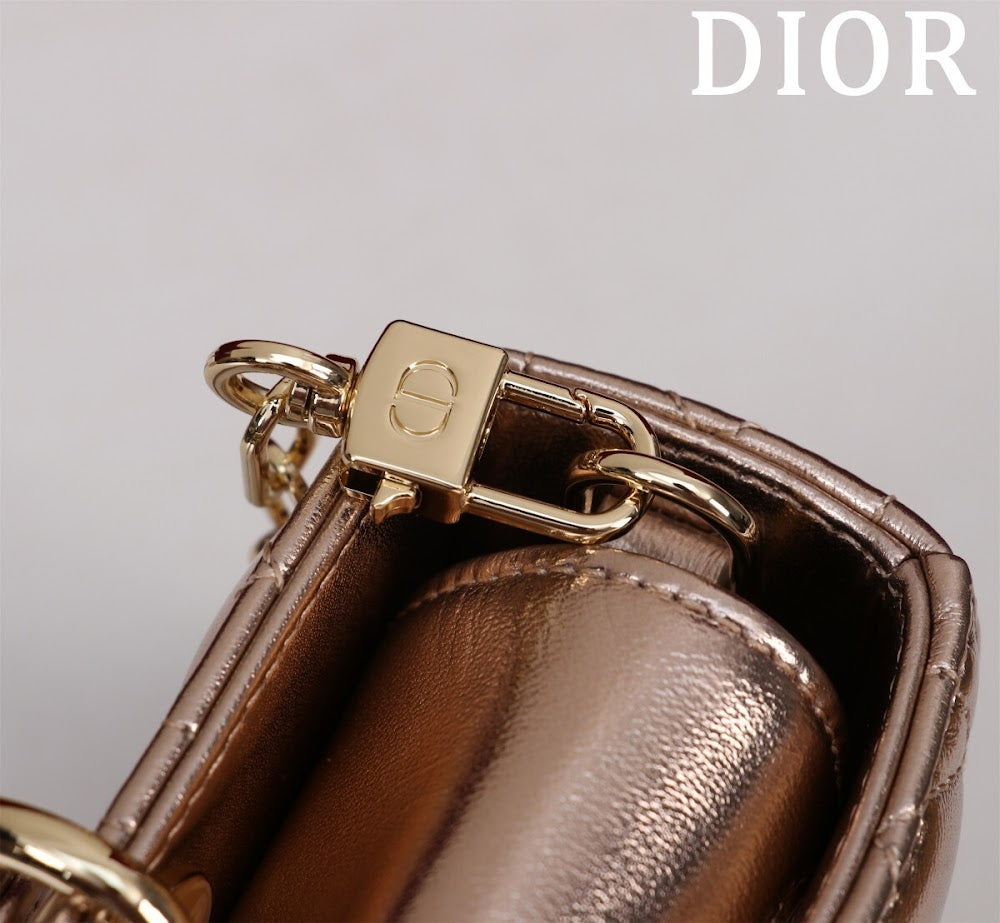 Anum Bags Diorn Luxury Bag --114738