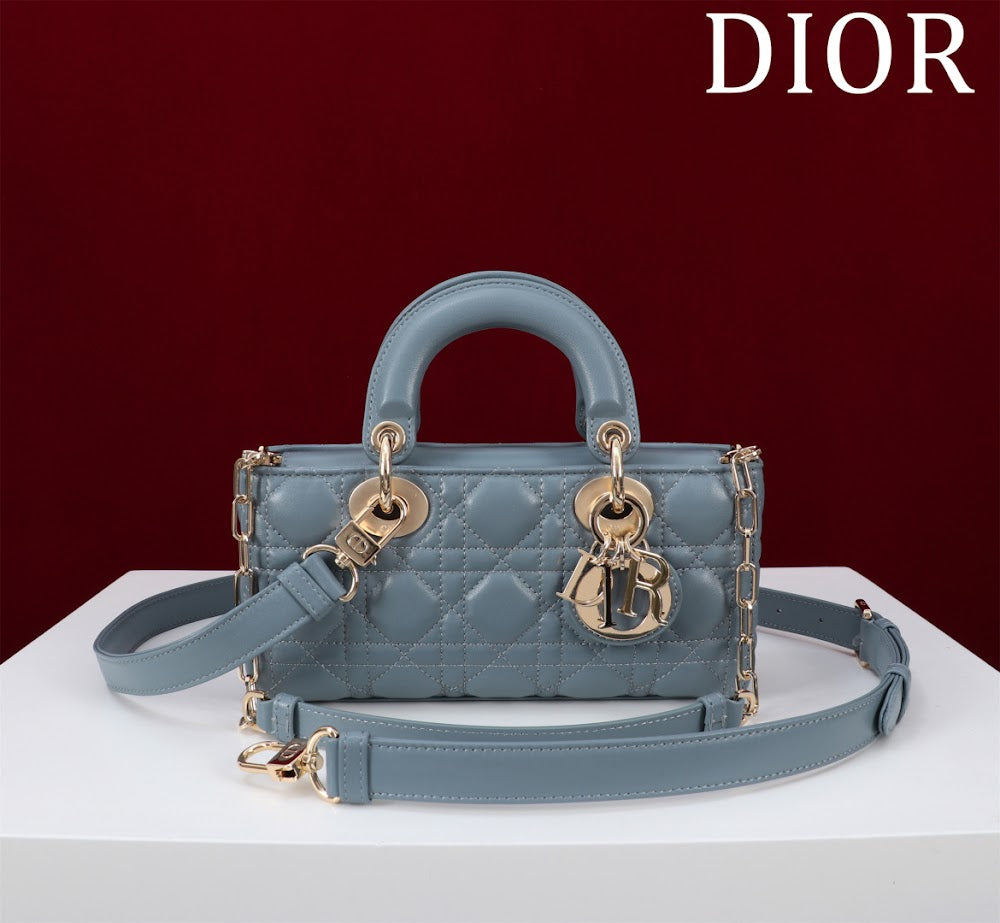 Anum Bags Diorn Luxury Bag --114720