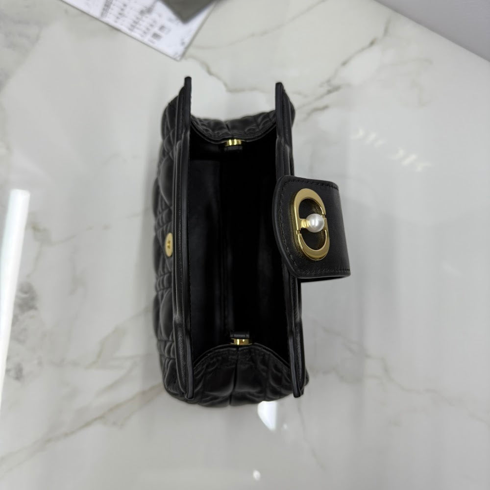 Ezyycart Bags Diorn Luxury Bag --116107