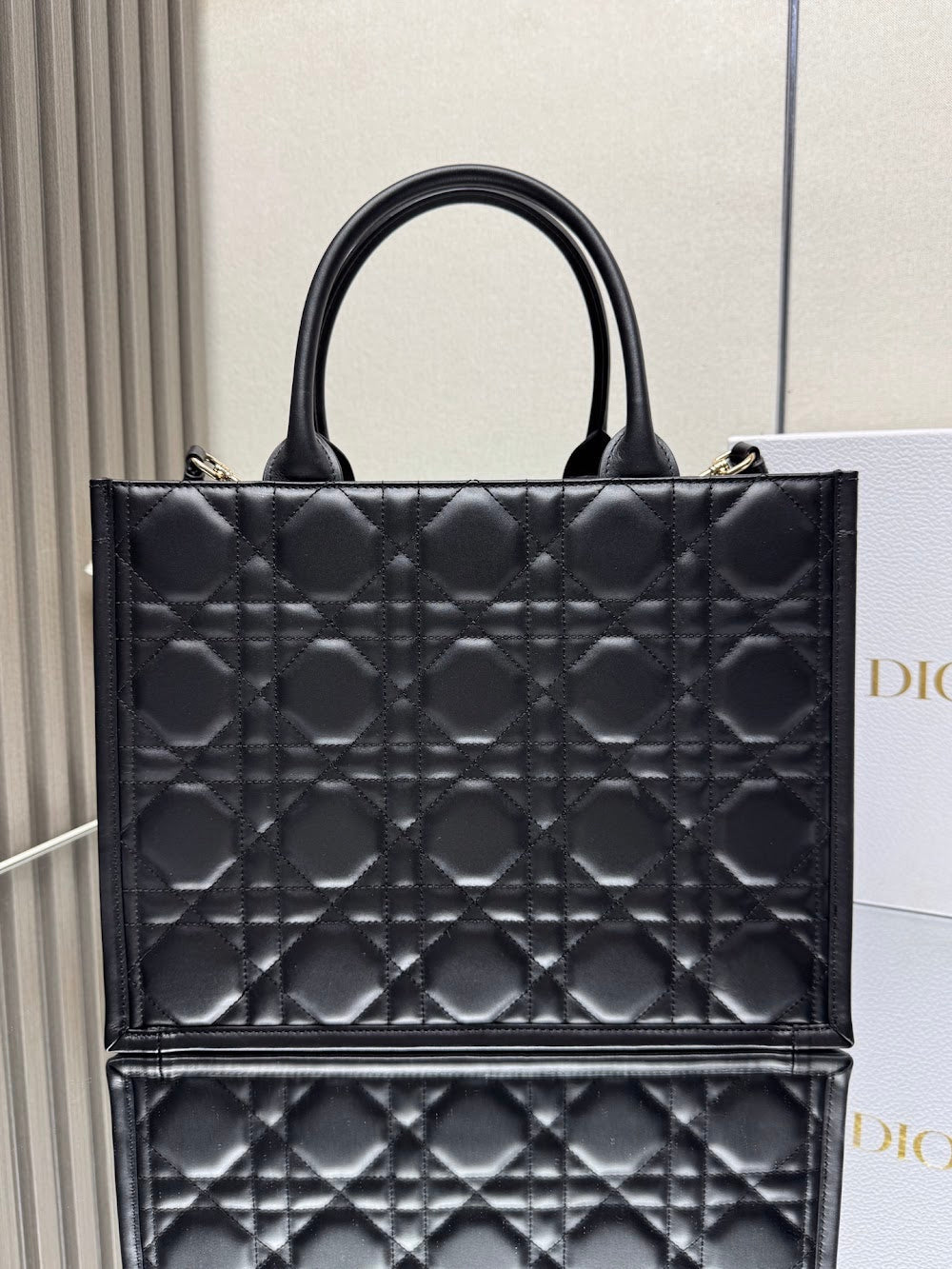 Ezyycart Bags Diorn Luxury Bag --115248
