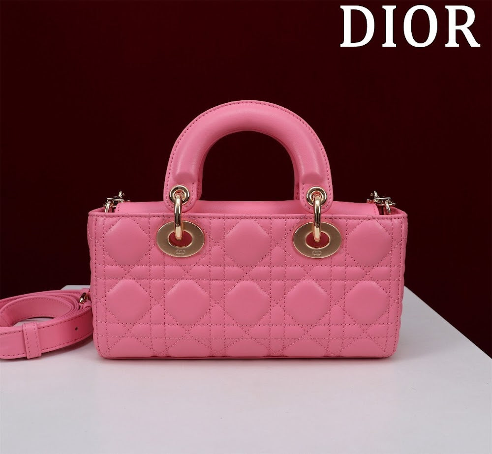 Anum Bags Diorn Luxury Bag --114746