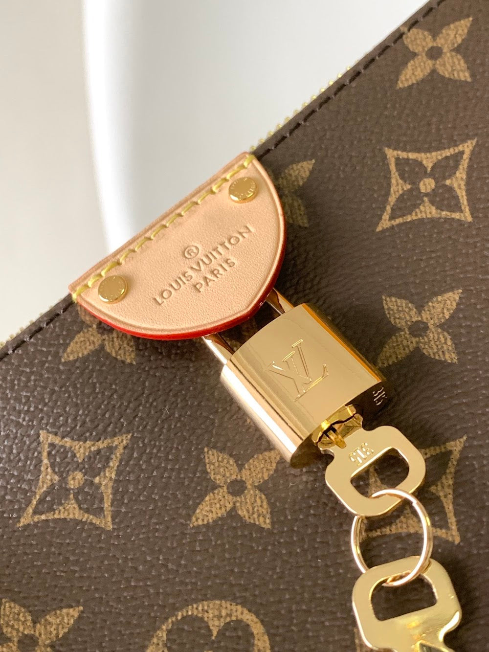 Anum Bags LVn Luxury Bag --80971