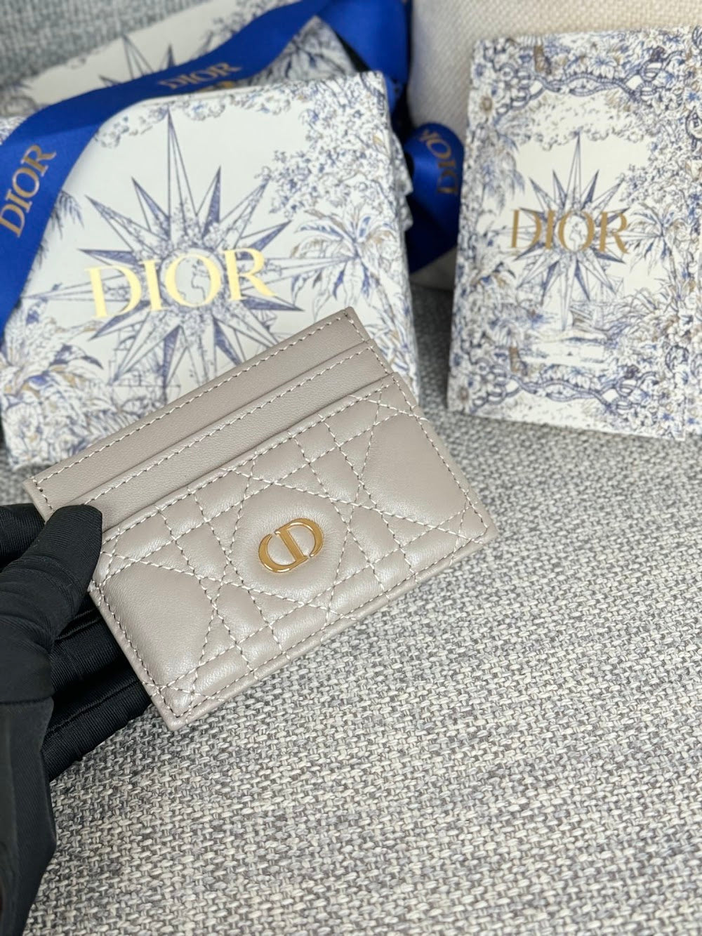 Anum Bags Diorn Luxury Bag --114524