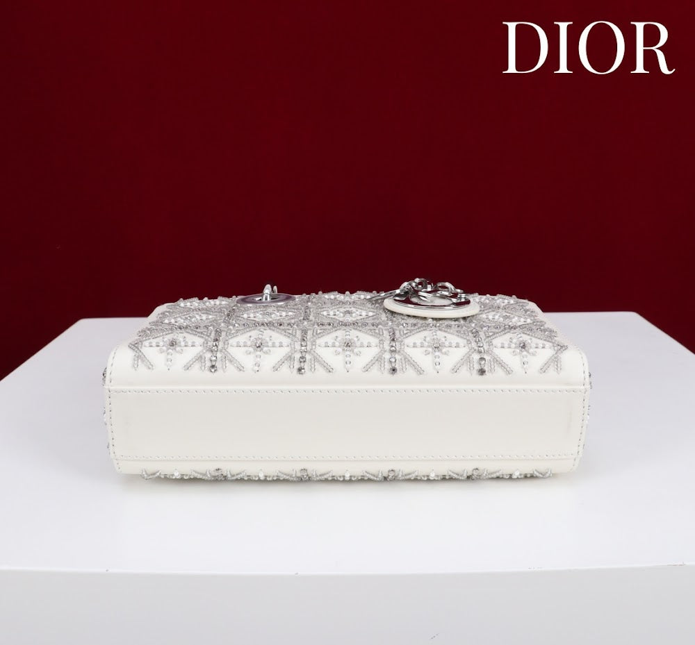 Anum Bags Diorn Luxury Bag --114700