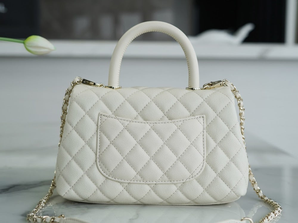 new-luxury-designer-bags-nm20557