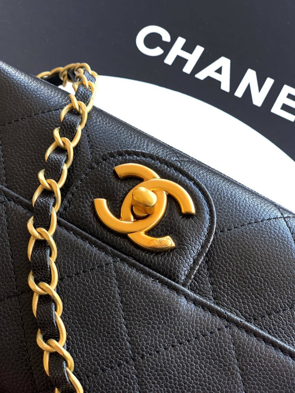Anum Bags CHn Luxury Bag --112796