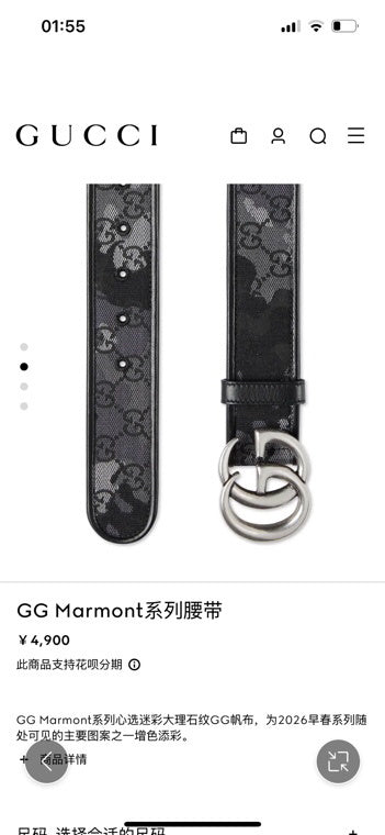 Ezyycart Bags Guccin Luxury Belt --105718