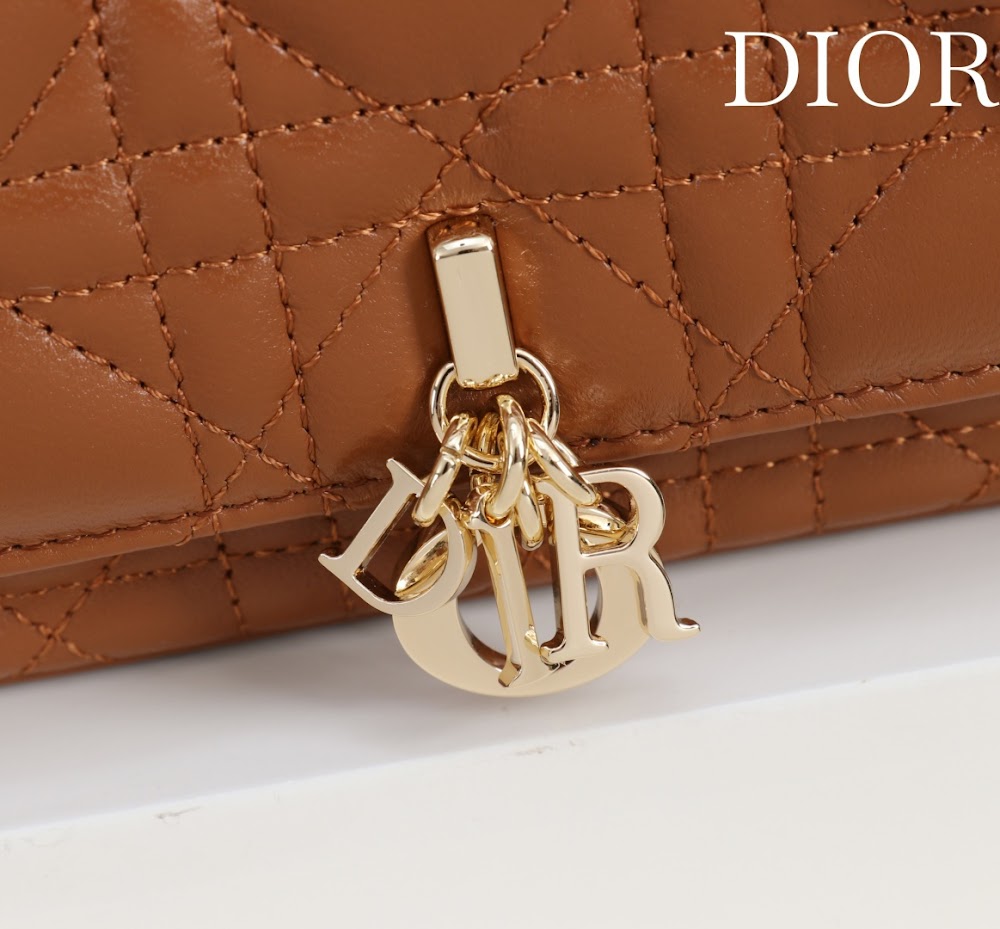 Ezyycart Bags Diorn Luxury Bag --116356