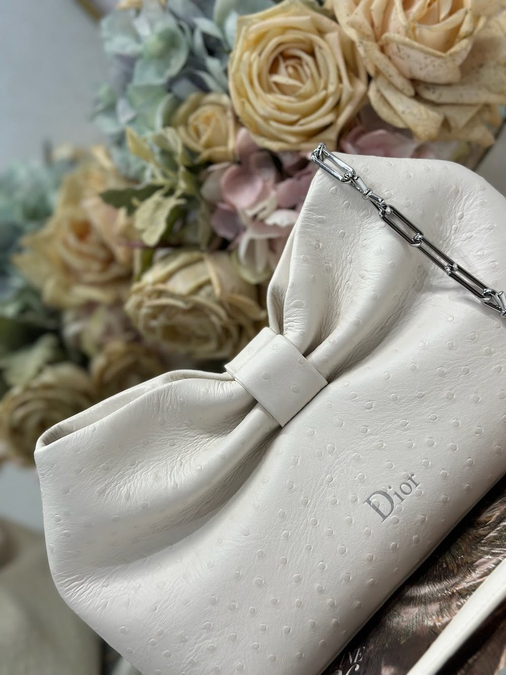 Ezyycart Bags Diorn Luxury Bag --115312