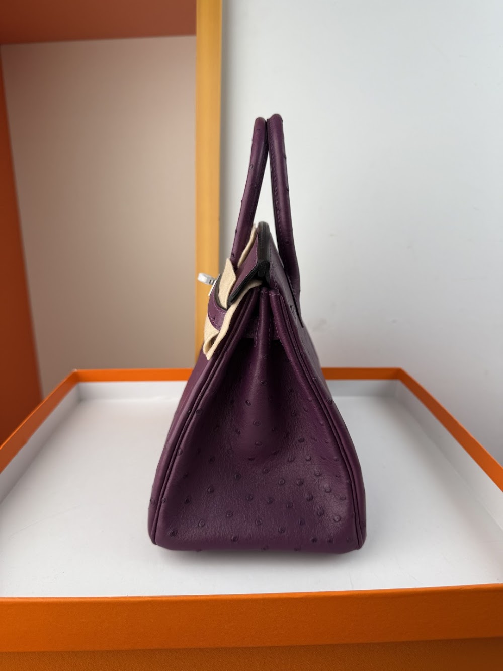 Anum Bags Hermesn Luxury Bag --116760