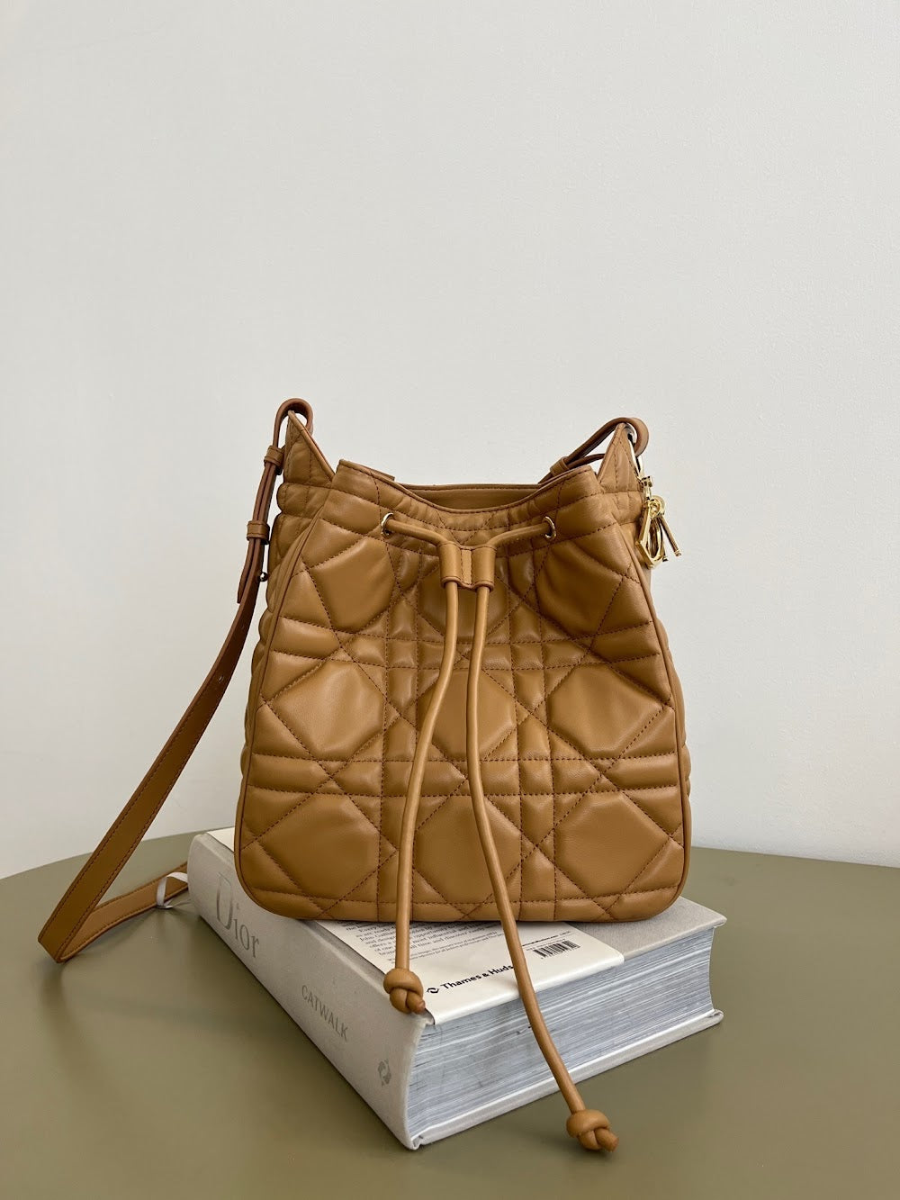 Anum Bags Diorn Luxury Bag --114958