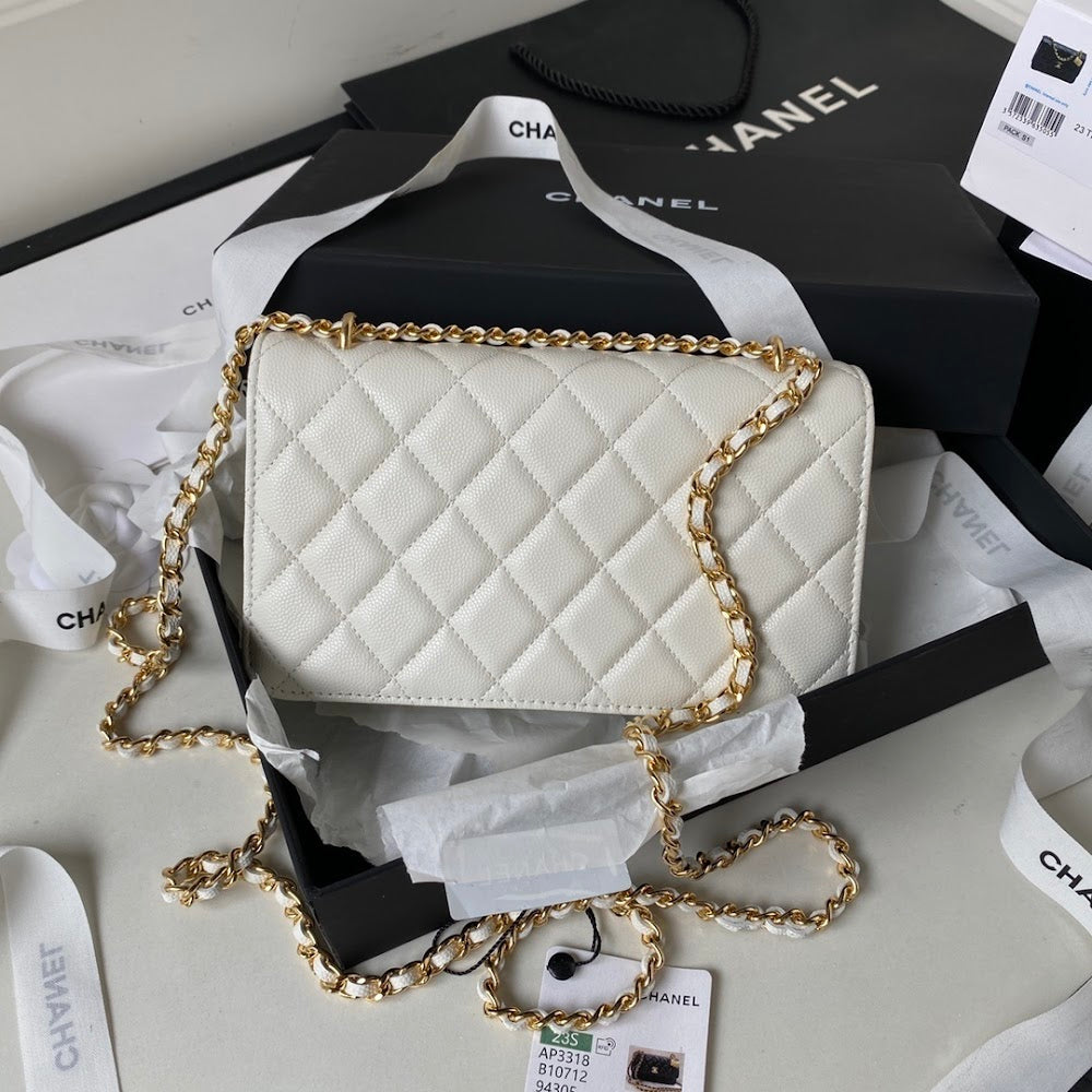 new-luxury-designer-bags-nm10043