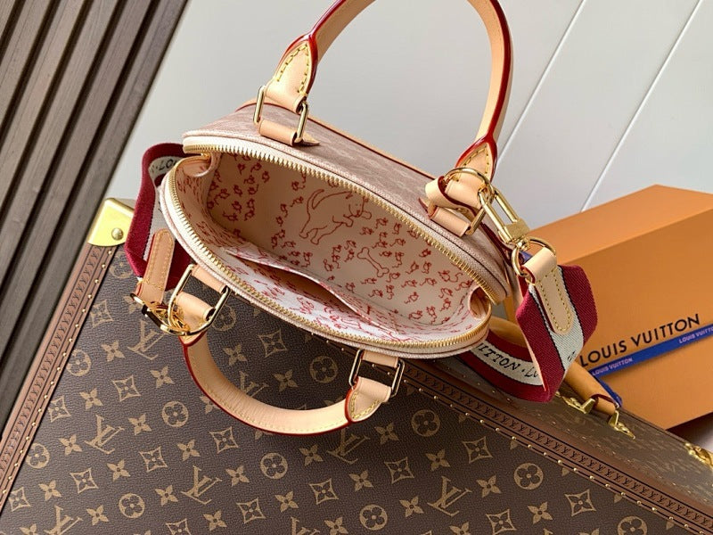 Anum Bags LVn Luxury Bag --80363
