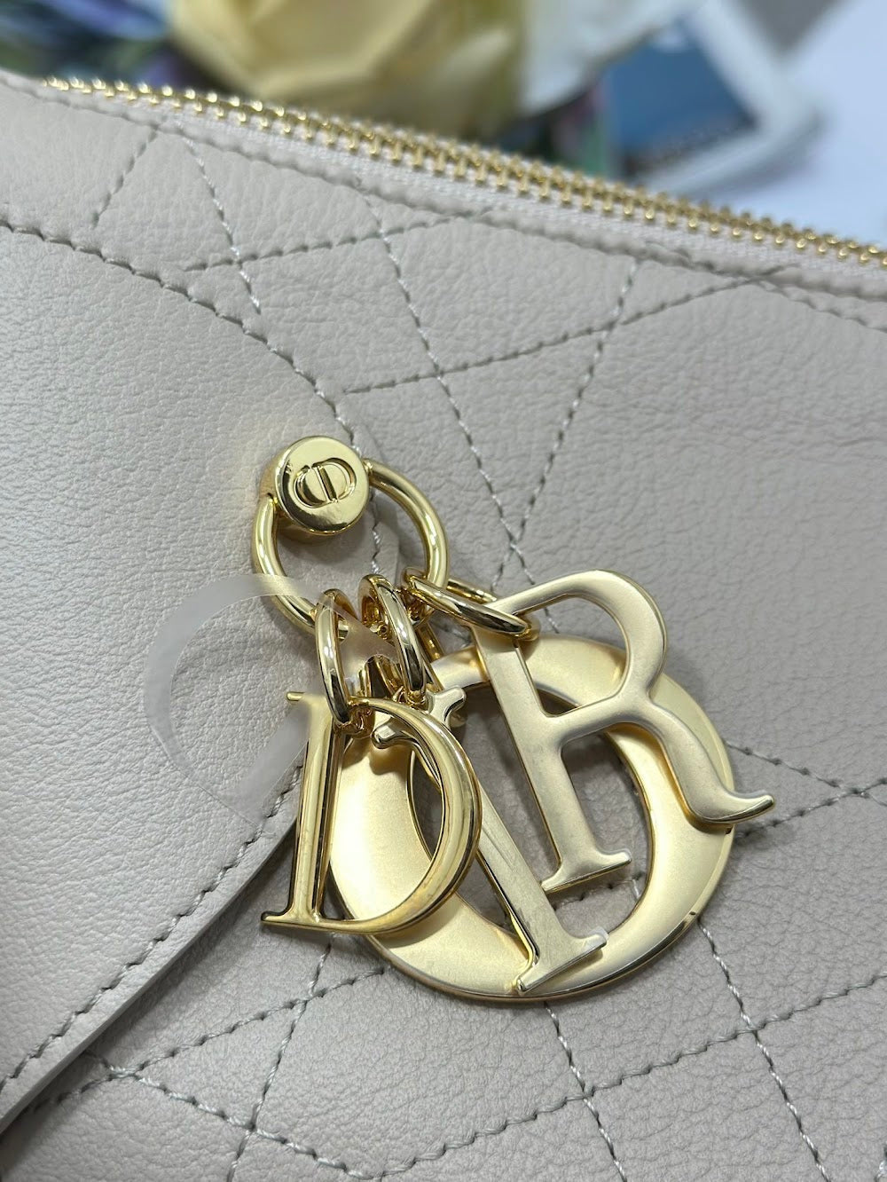 Anum Bags Diorn Luxury Bag --114543