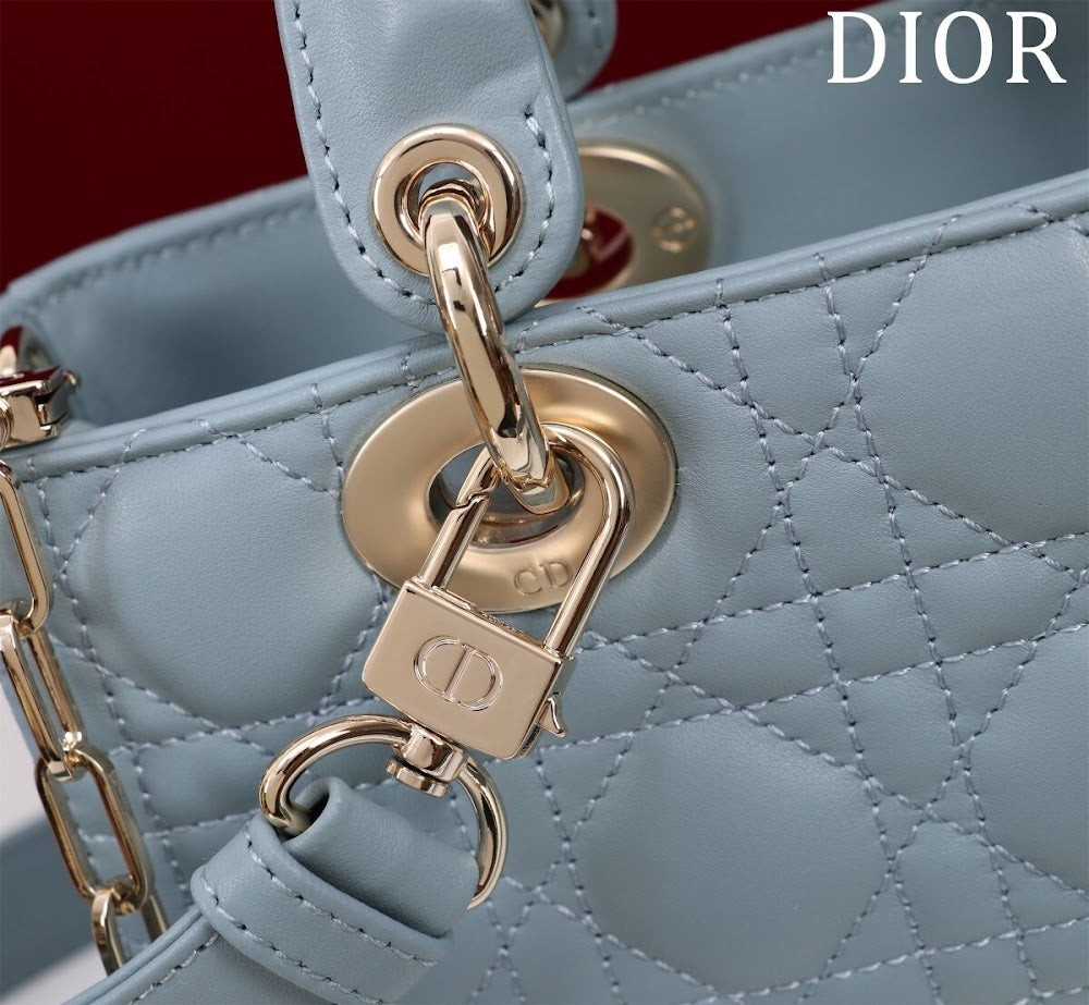 Anum Bags Diorn Luxury Bag --114777