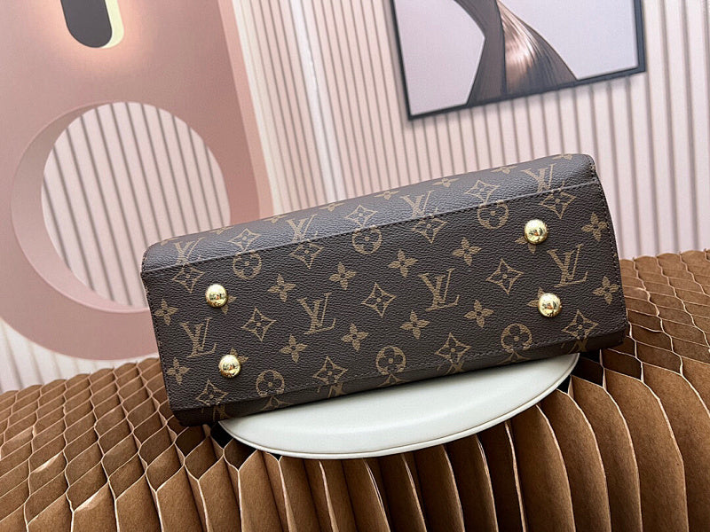 Anum Bags LVn Luxury Bag --80367