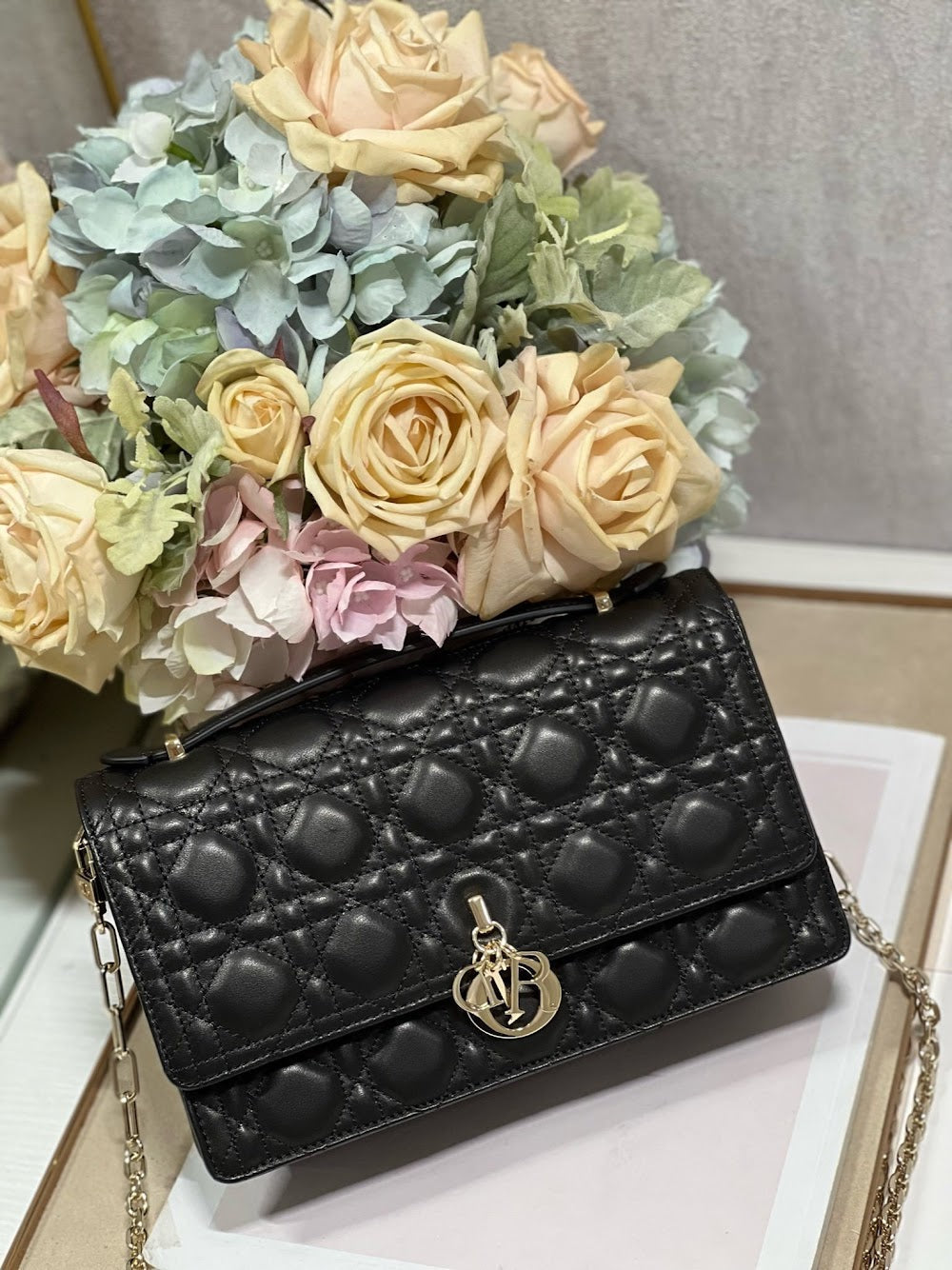 new-designer-premium-bags-nm16147