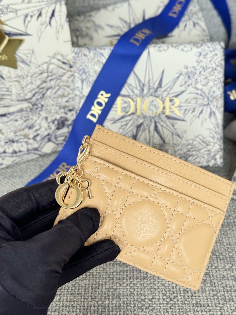 Anum Bags Diorn Luxury Bag --114683