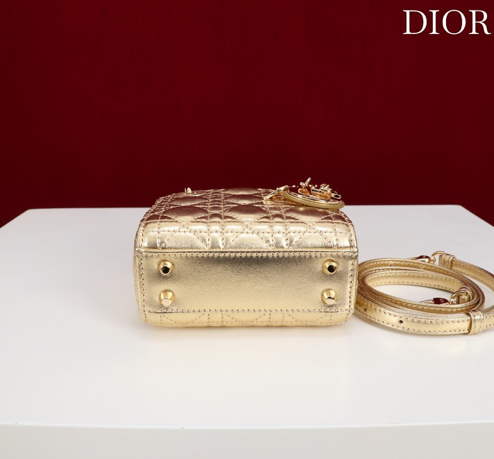 Ezyycart Bags Diorn Luxury Bag --116552
