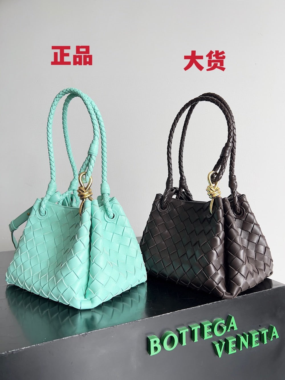 Ezyycart Bags Bottegan Luxury Bag --91093