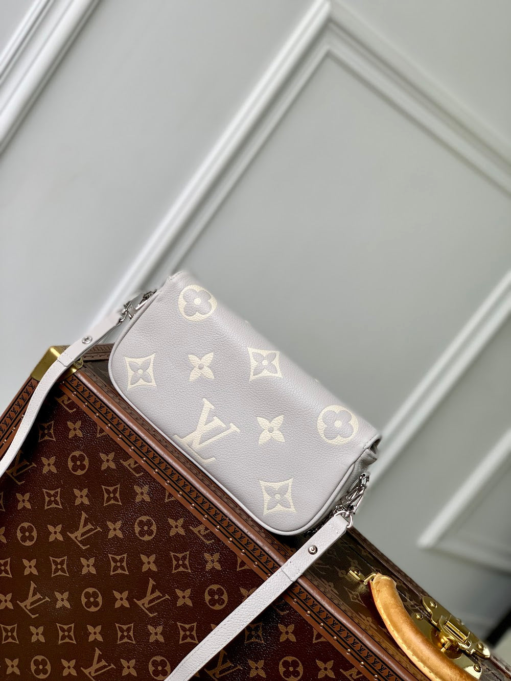 Anum Bags LVn Luxury Bag --80365
