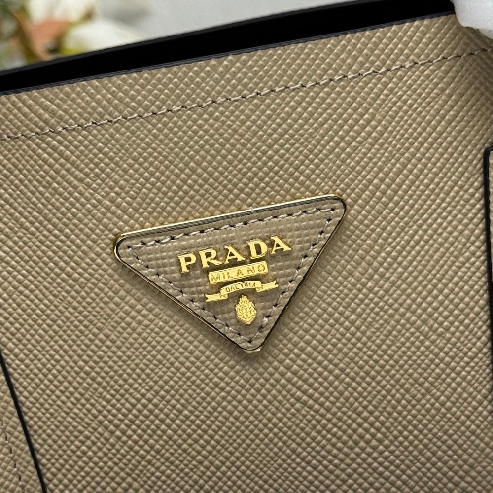 Ezyycart Bags Pradn Luxury Bag --102312