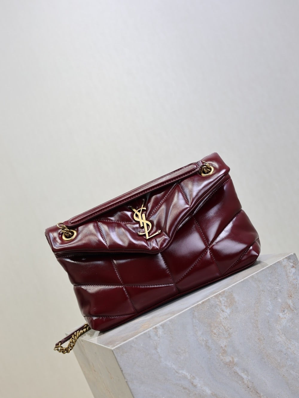 Ezyycart Bags YSLn Luxury Bag --119719