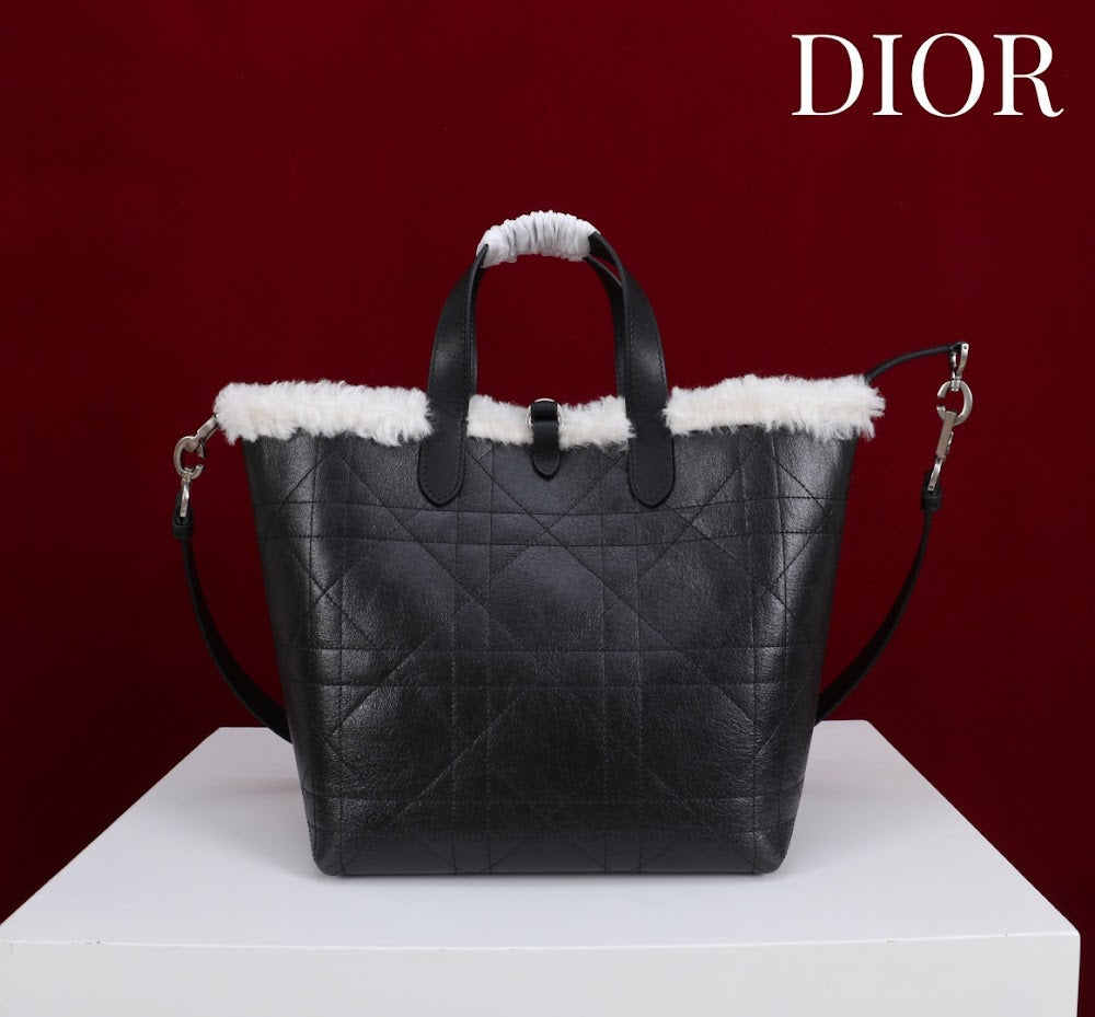 Anum Bags Diorn Luxury Bag --114887
