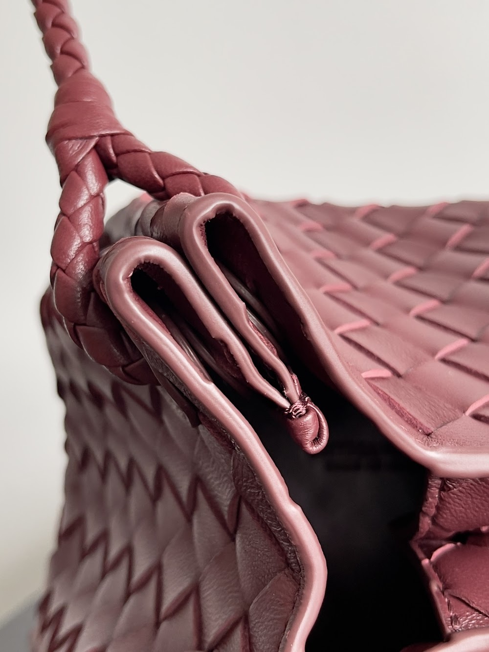 Ezyycart Bags Bottegan Luxury Bag --90956