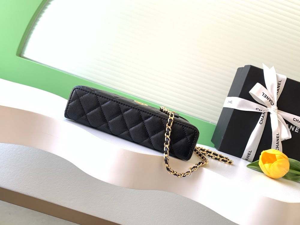 Anum Bags CHn Luxury Bag --113839
