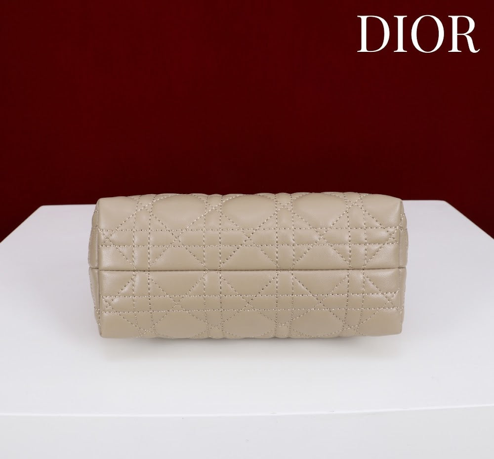 Anum Bags Diorn Luxury Bag --114562
