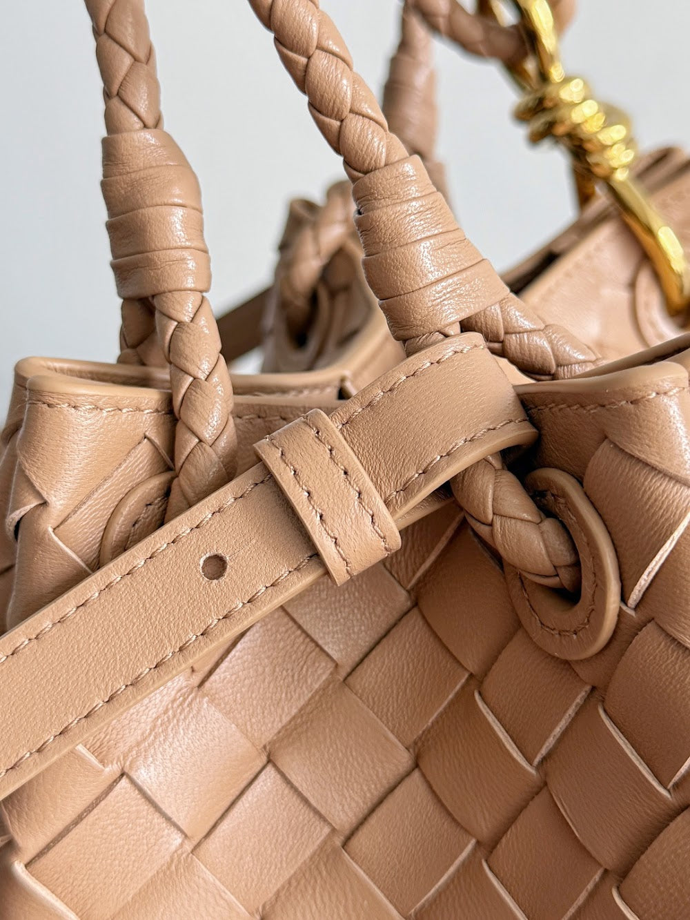 Ezyycart Bags Bottegan Luxury Bag --91118