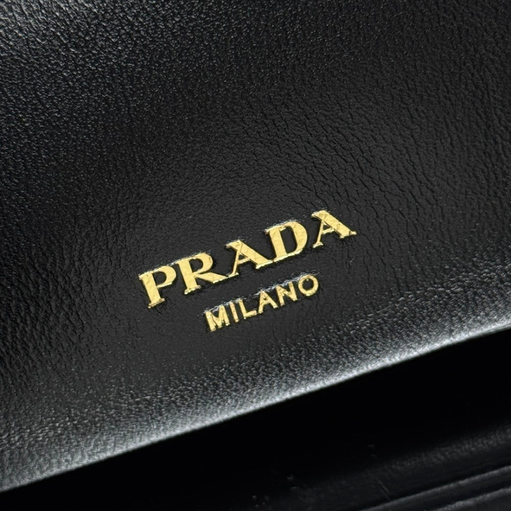 Ezyycart Bags Pradn Luxury Bag --101752